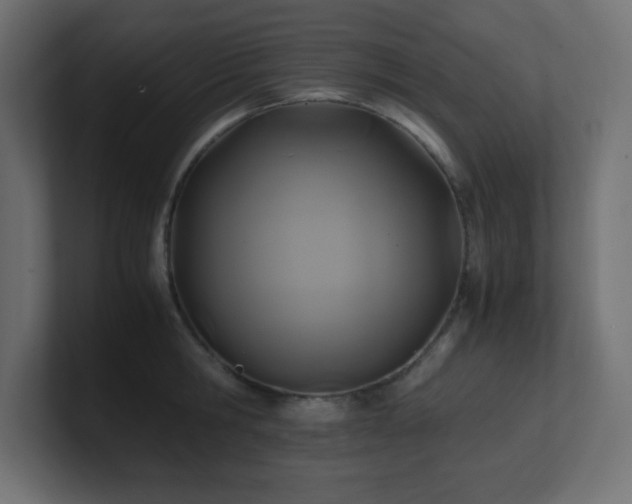 X0000100940806200806241426