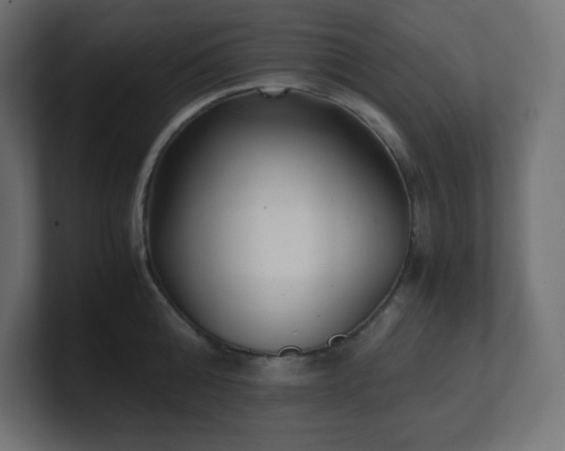 X0000100940808200806241426