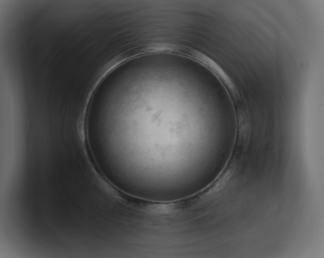 X0000100940810200806241426