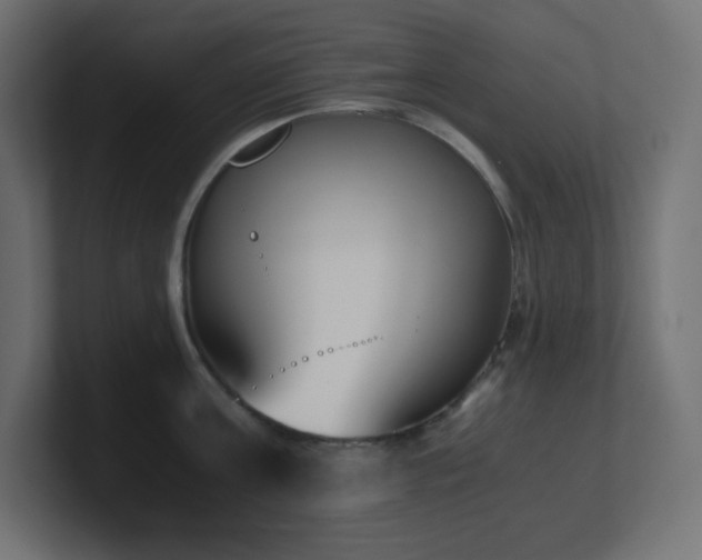 X0000100940811200806241426