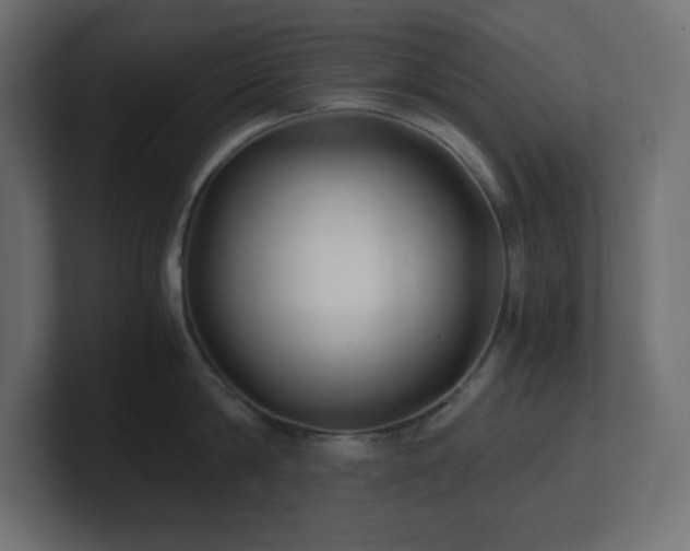 X0000100940814200806241426