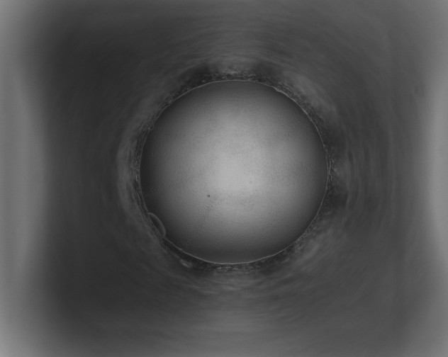 X0000100940817200806241425