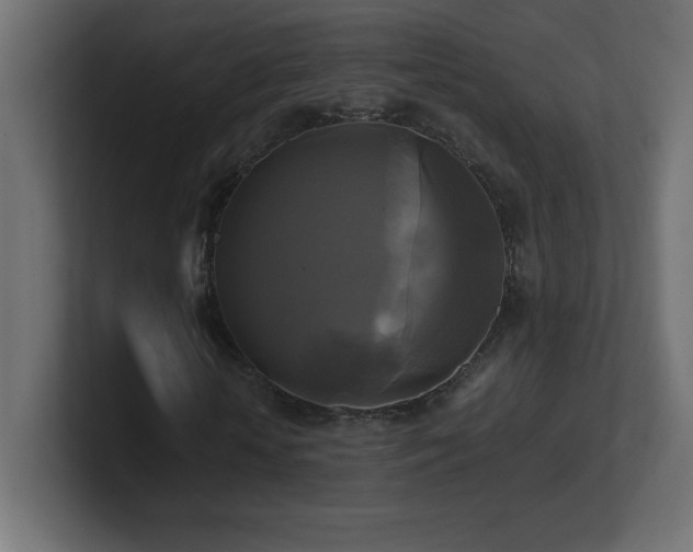 X0000100940818200806241425