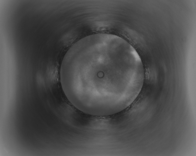 X0000100940820200806241425