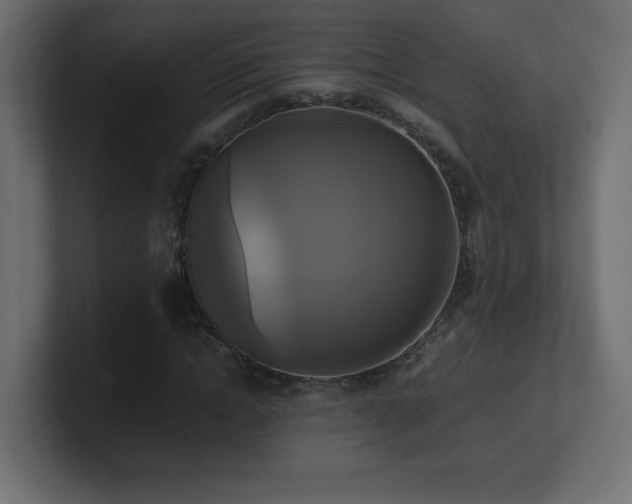 X0000100940822200806241425