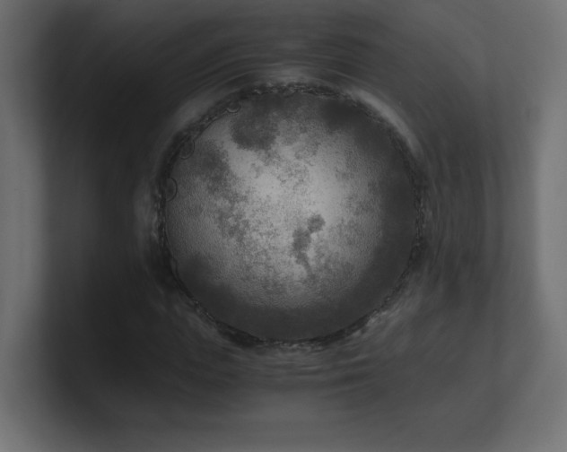 X0000100940823200806241425