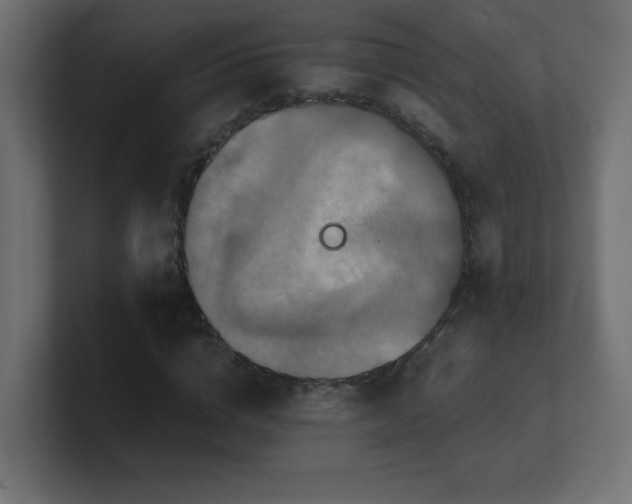 X0000100940824200806241425