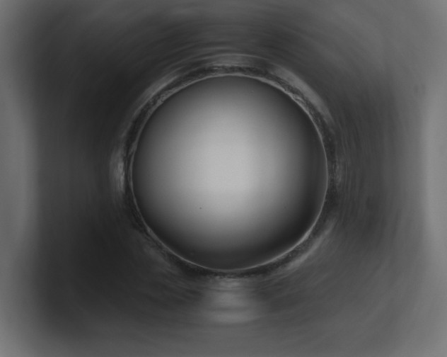 X0000100940829200806241425