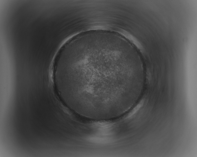 X0000100940830200806241425