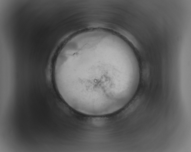 X0000100940832200806241425