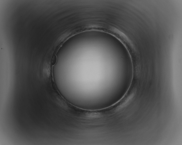 X0000100940833200806241425