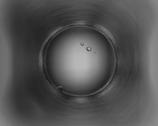 X0000100940835200806241425