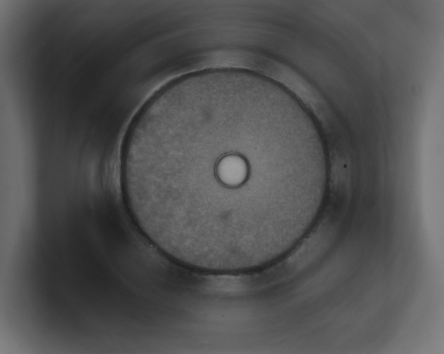 X0000100940836200806241425