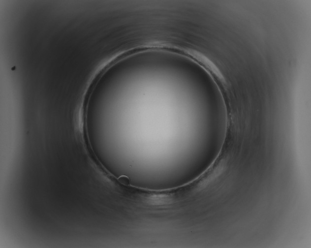 X0000100940839200806241425