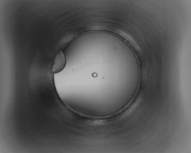 X0000100940841200806241425
