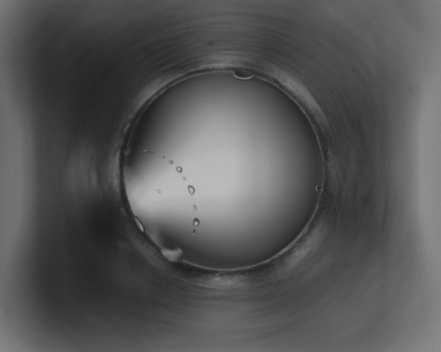 X0000100940842200806241425