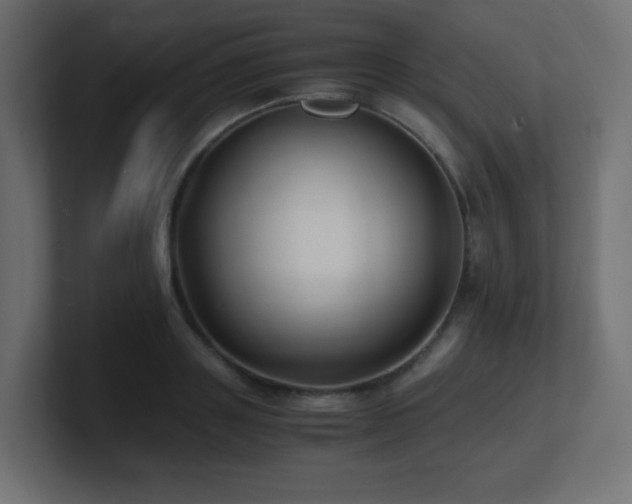 X0000100940843200806241425