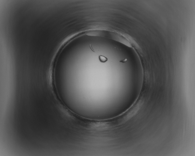 X0000100940846200806241426
