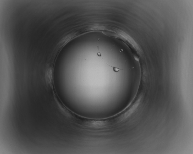 X0000100940849200806241426