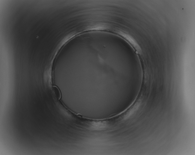 X0000100940850200806241426