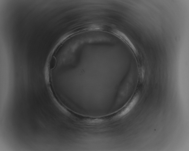 X0000100940851200806241426