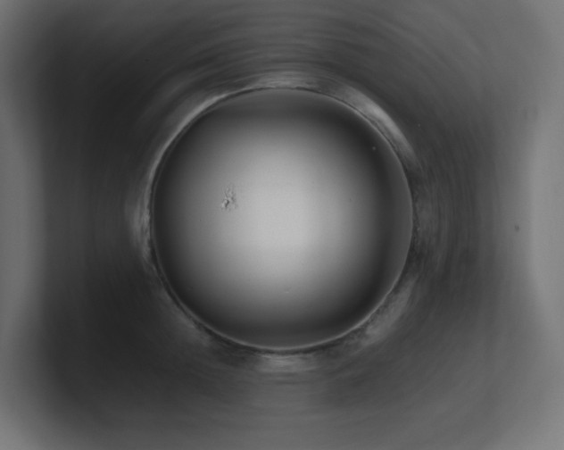 X0000100940852200806241426