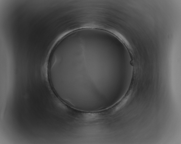 X0000100940854200806241426