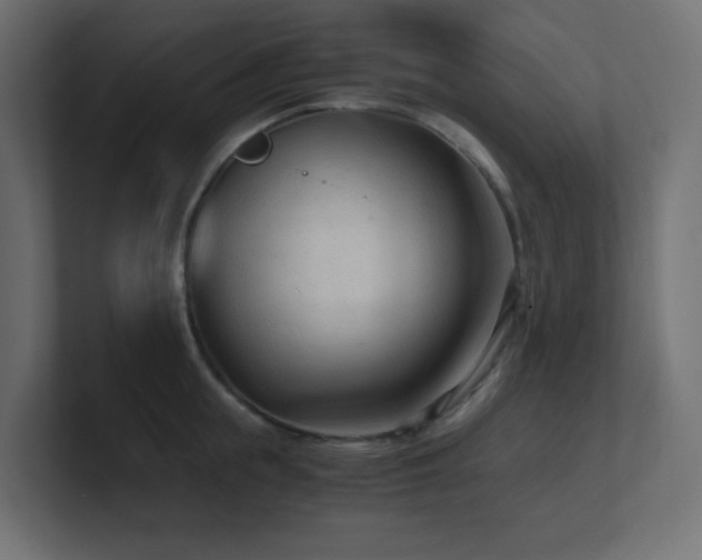 X0000100940855200806241426