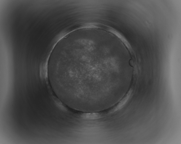 X0000100940858200806241426