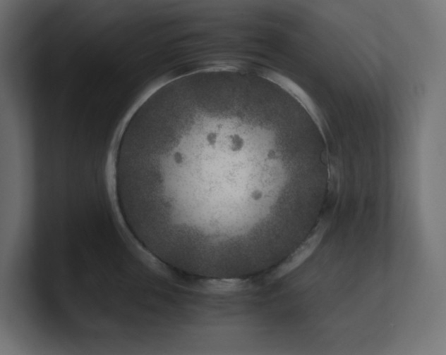 X0000100940859200806241426