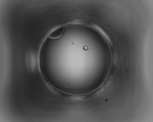 X0000100940861200806241426