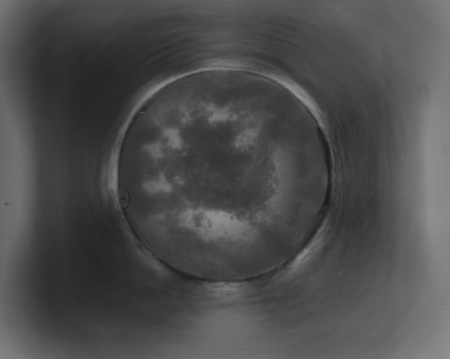 X0000100940862200806241426