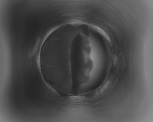 X0000100940863200806241426