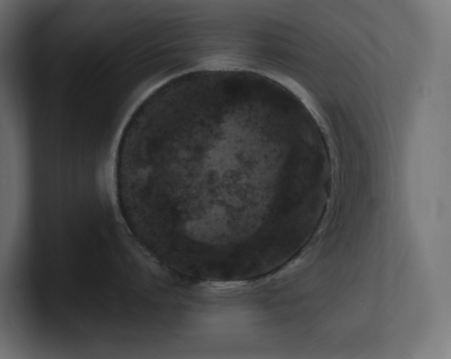 X0000100940864200806241426