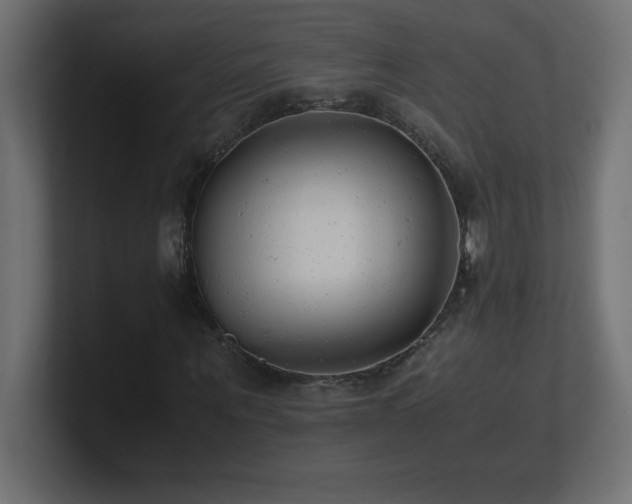 X0000100940867200806241425