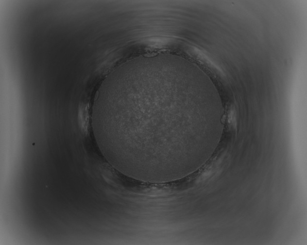 X0000100940868200806241425