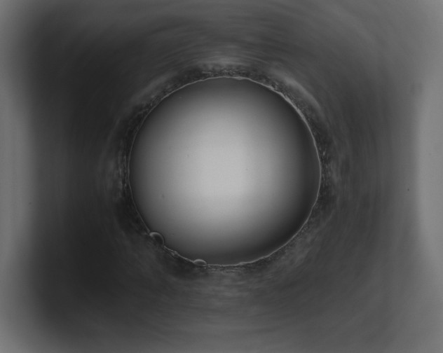 X0000100940870200806241425