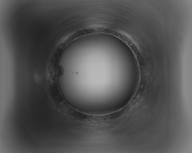 X0000100940871200806241425