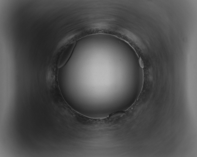 X0000100940872200806241425