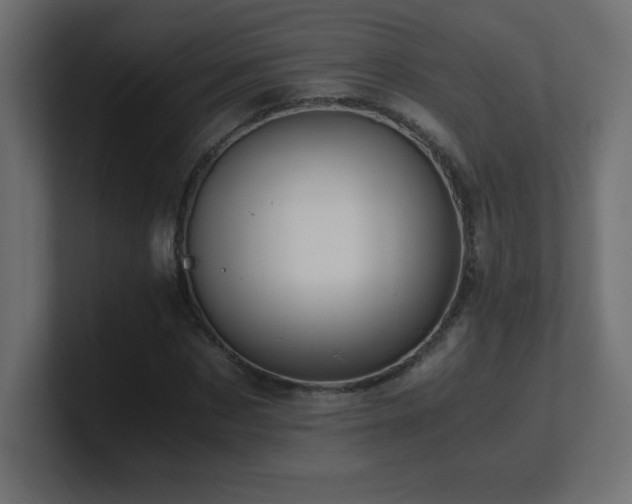X0000100940873200806241425