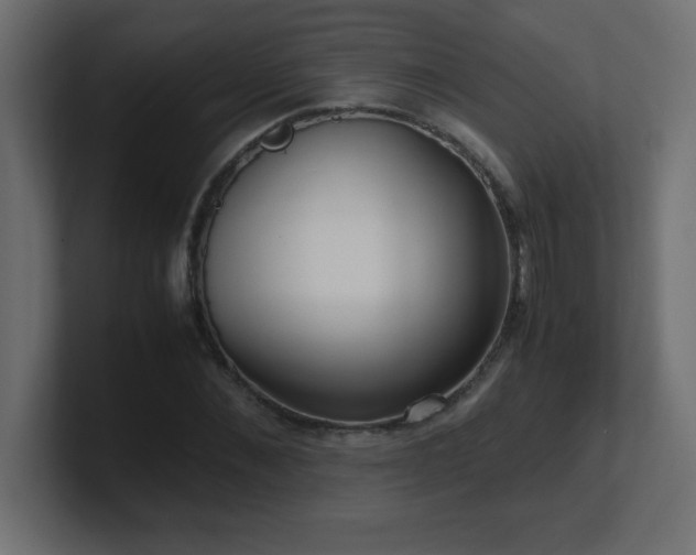 X0000100940876200806241425