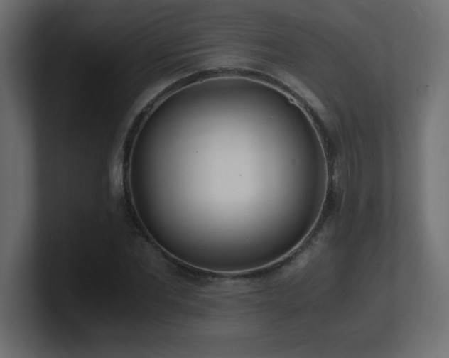 X0000100940877200806241425