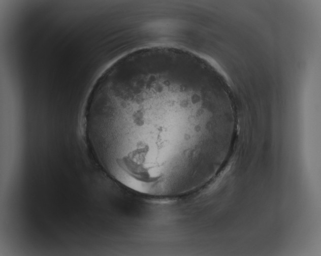 X0000100940879200806241425