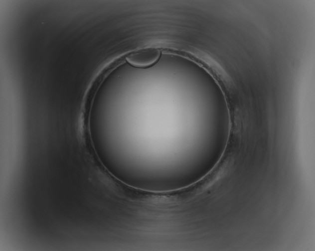 X0000100940880200806241425