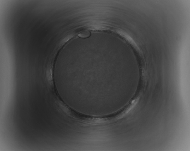X0000100940881200806241425