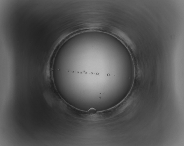 X0000100940883200806241425
