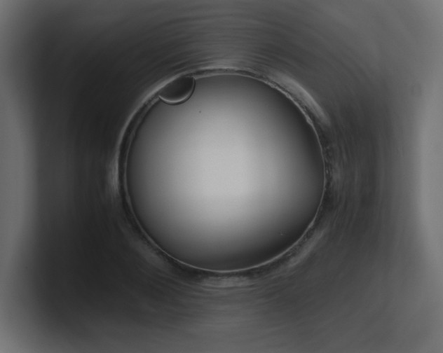 X0000100940884200806241425