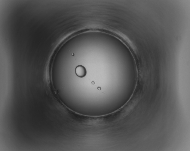 X0000100940887200806241425