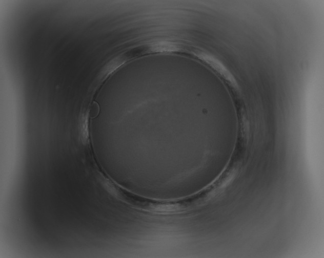X0000100940889200806241425