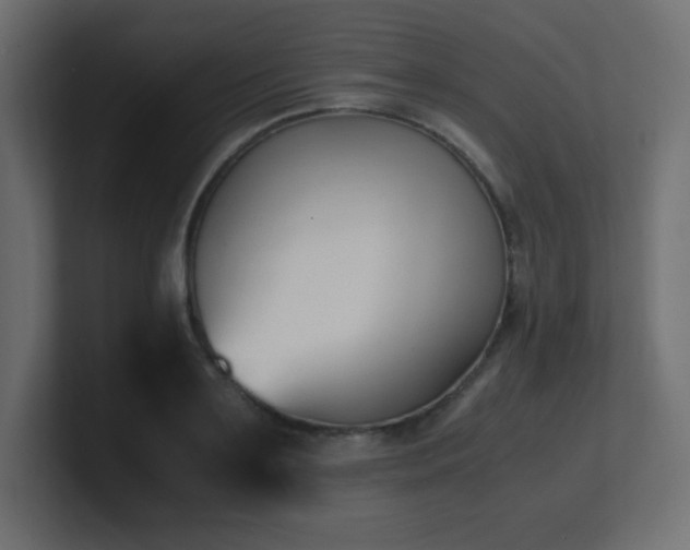 X0000100940891200806241425